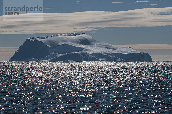 Riesiger Eisberg  Cierva Cove  Chavdar Peninsula  Antarktis