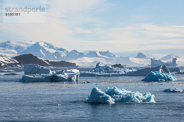 Gletscher und Eisberge  Cierva Cove  Chavdar Peninsula  Antarktis