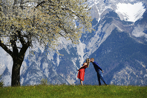 Liebespaar küsst sich neben einem blühenden Baum im Frühling  hinten Berge  Tirol  Österreich
