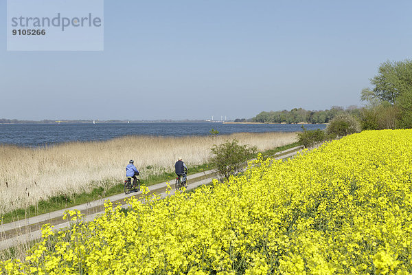 Meer Baltikum Deutschland Meeresarm schmal Schleswig-Holstein