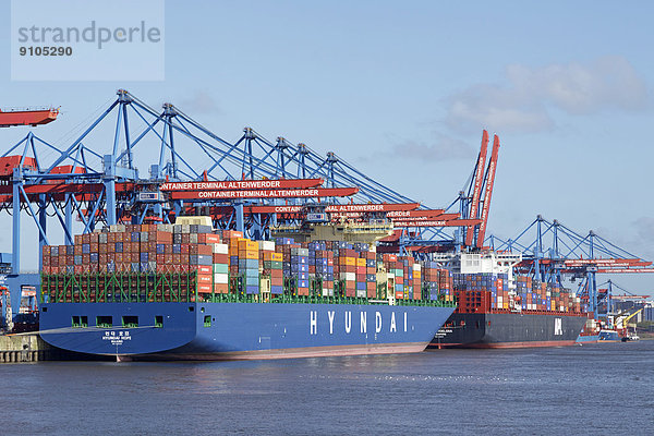 Container Terminal Altenwerder  Hamburger Hafen  Hamburg  Deutschland