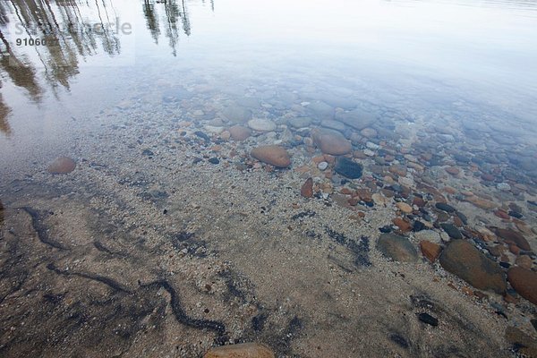 Flachwasser  Lake Tahoe  Kalifornien  USA