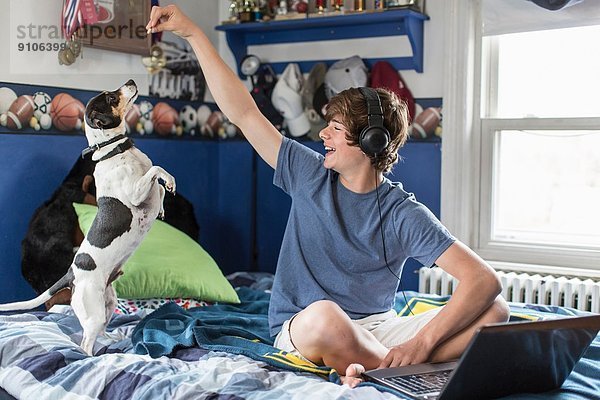 Teenager Junge auf dem Bett sitzend mit Laptop-Computer  mit Hund spielend