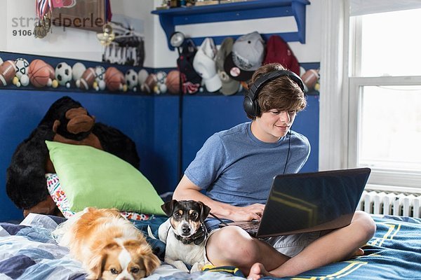Teenager-Junge auf dem Bett sitzend mit Laptop-Computer  mit Hunden