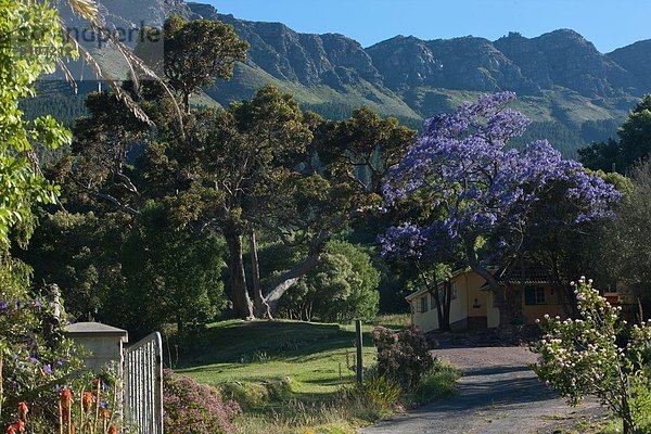 Blick auf ruhiges ländliches Dorf  Südafrika