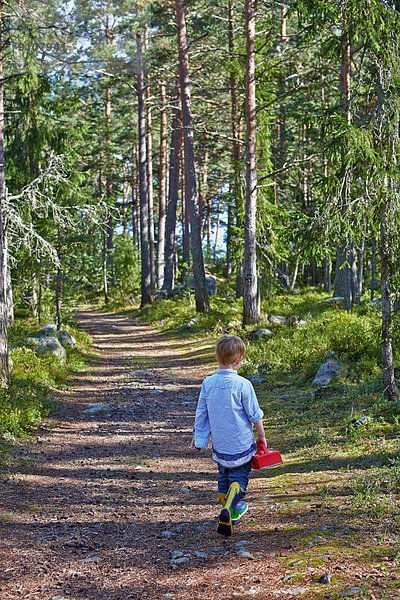 Kleiner Junge  der den Waldweg entlang wandert