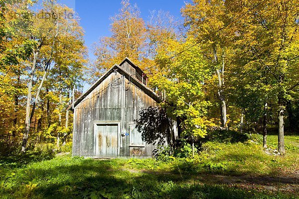 Hütte  Zucker  Kanada  Laub  Ahorn  Quebec