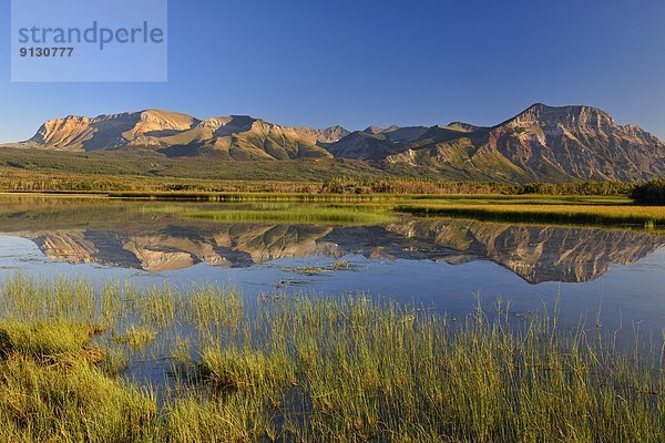 Bett  Spiegelung  Teich  Waterton Lakes Nationalpark  Alberta  Kanada  Schilf  Reflections