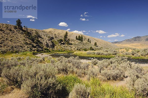 Vereinigte Staaten von Amerika  USA  Yellowstone Nationalpark  Wyoming