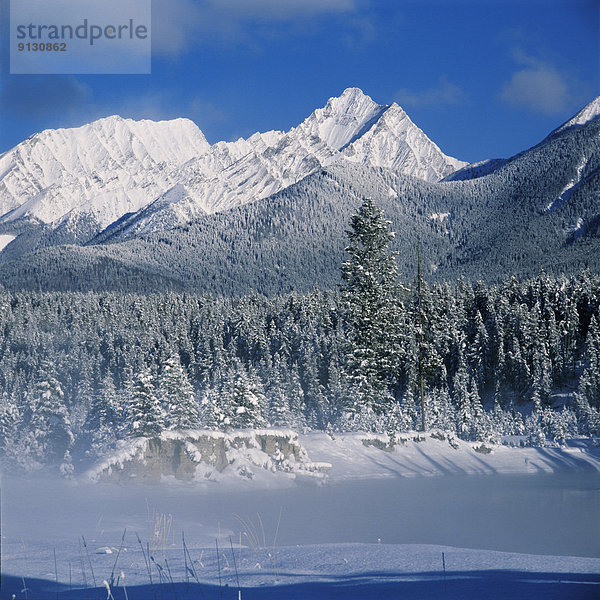 Rocky Mountains  Kootenay Nationalpark  British Columbia