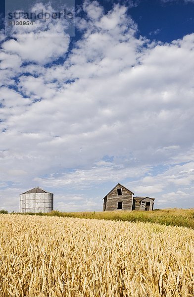 Getreide Wohnhaus Bauernhof Hof Höfe Feld verlassen Weizen Saskatchewan Kanada