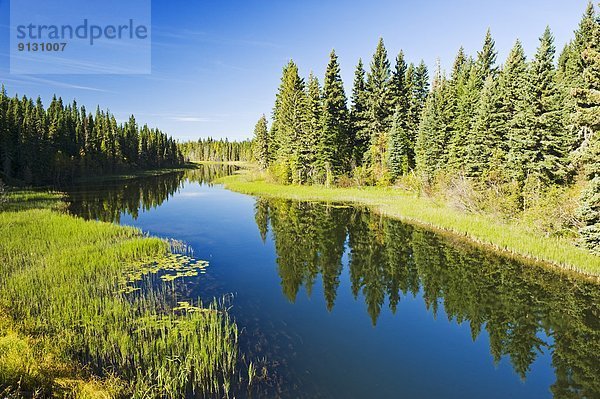 Saskatchewan  Kanada  Prince Albert National Park