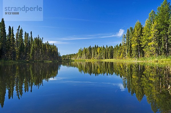 Saskatchewan  Kanada  Prince Albert National Park