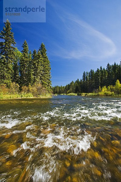 Saskatchewan  Kanada  Prince Albert National Park