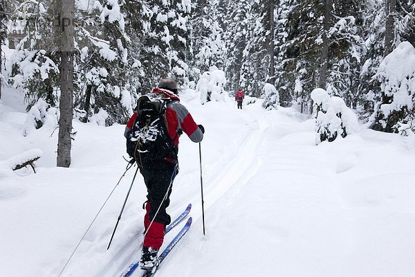 Skibergsteigen  British Columbia  Kanada