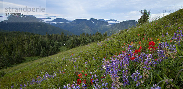 Berg  Kanada  Vancouver Island