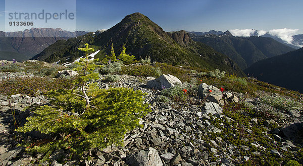 Strathcona Provincial Park  Kanada  Vancouver Island