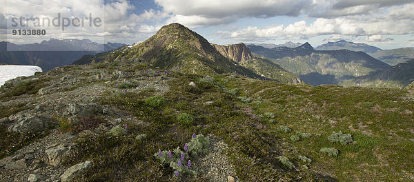 Strathcona Provincial Park  Kanada  Vancouver Island