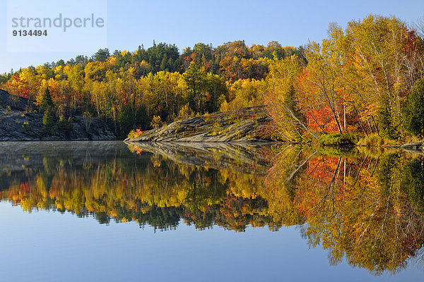 See  Spiegelung  Herbst  Birke  Ahorn  Kanada  Ontario