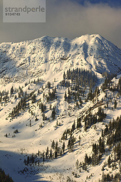 Fernie  British Columbia  British Columbia  Kanada