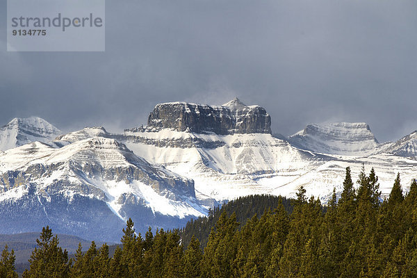 Tal  Fernverkehrsstraße  Wald  Fluss  Alberta  Kanada  Geist