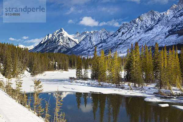 Banff Nationalpark  Alberta  Kanada