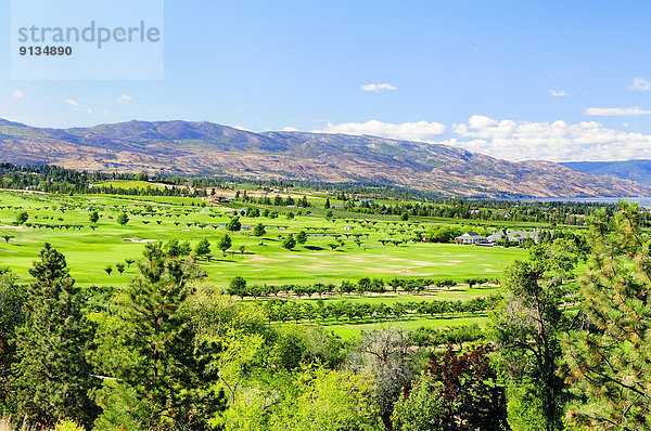 nahe  ernten  Ansicht  Golfsport  Golf  Kurs  Kelowna