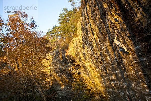 Mann  Wand  Herbst  Klettern  Kentucky