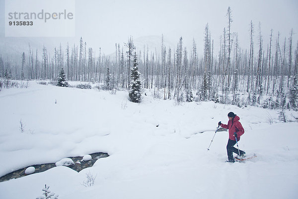 Frau  jung  Kootenay Nationalpark  Schneeschuhlaufen