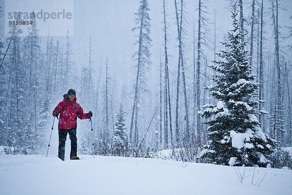Frau  jung  Kootenay Nationalpark  Schneeschuhlaufen