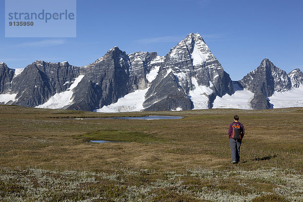 Forschung wandern Wiese