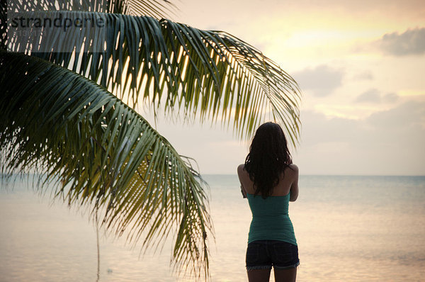 Frau  Fröhlichkeit  Sonnenuntergang  jung  Belize