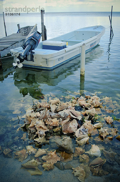 nahe Haufen leer Wasserrand Boot Hintergrund Muschel Belize
