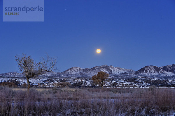 Vereinigte Staaten von Amerika  USA  Tischset  über  Mond  New Mexico