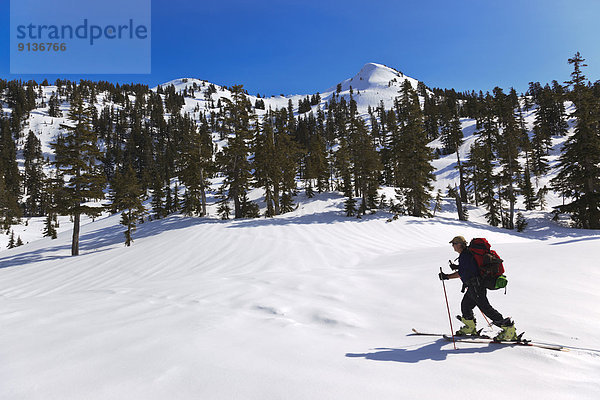 Sonnenstrahl  Skifahrer  folgen  Modell  aufwärts  Küste  See  Kabine  Freiheit  Ländliches Motiv  ländliche Motive  britisch  Kanada