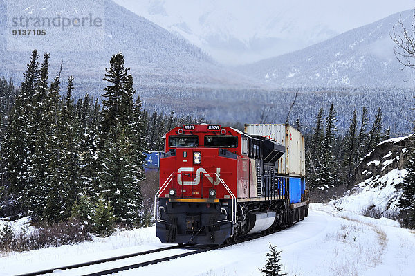 nahe  Behälter  beladen  Berg  Winter  Felsen  Tag  ziehen  Schnee  Alberta  Kanada  kanadisch  Fracht  Weiler  Zug