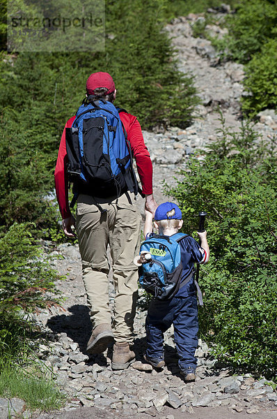 hoch  oben  Menschlicher Vater  Sohn  folgen  wandern  British Columbia  Kanada
