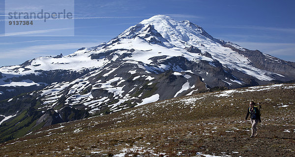 Vereinigte Staaten von Amerika  USA  wandern  Berg  Alaska Panhandle  Mount Rainier Nationalpark
