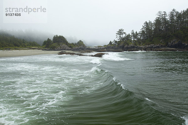 hoch  oben  nahe  Landschaftlich schön  landschaftlich reizvoll  Strand  Insel  Pazifischer Ozean  Pazifik  Stiller Ozean  Großer Ozean  Geräusch  UNESCO-Welterbe  Tofino  British Columbia  British Columbia  Kanada  Radar  Vancouver