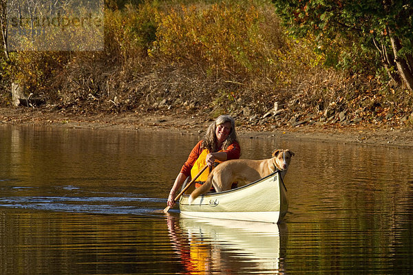 Frau  Hund  reifer Erwachsene  reife Erwachsene  Kanu  Paddel  Kanada  Muskoka  Ontario