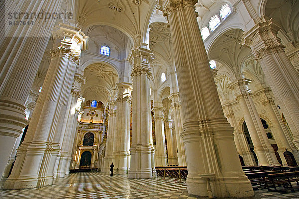 Europa Kathedrale Säule Decke Granada Spanien