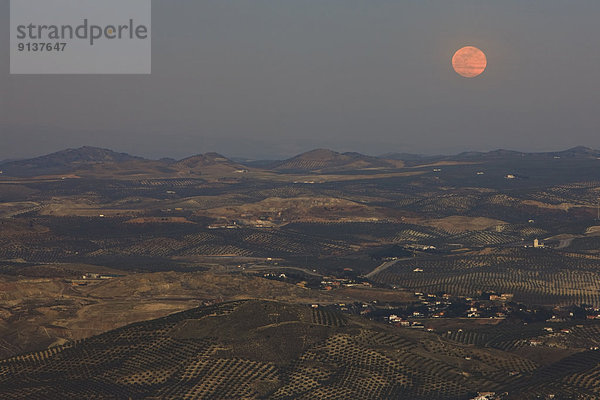 Europa  Sonnenuntergang  über  aufwärts  Großstadt  Mond  Baum  Olive  Spanien