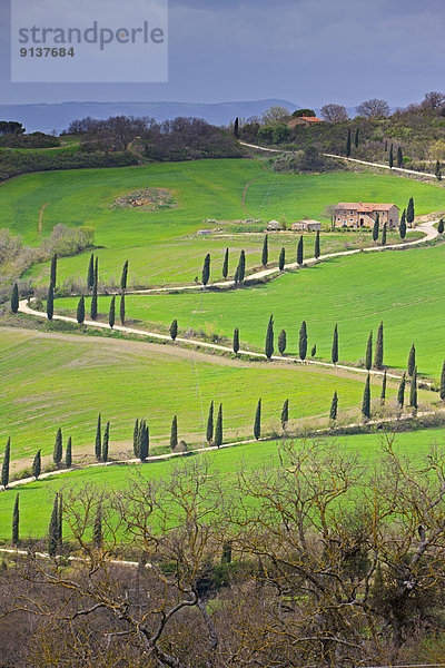 Europa  Baum  Landschaft  Fernverkehrsstraße  Menschenreihe  Toskana  Italien