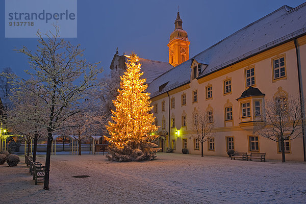Außenaufnahme  Europa  Baum  Weihnachten  Bayern  Deutschland