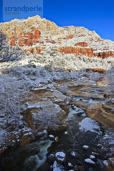 Vereinigte Staaten von Amerika  USA  Arizona  Oak Creek Canyon  Sedona