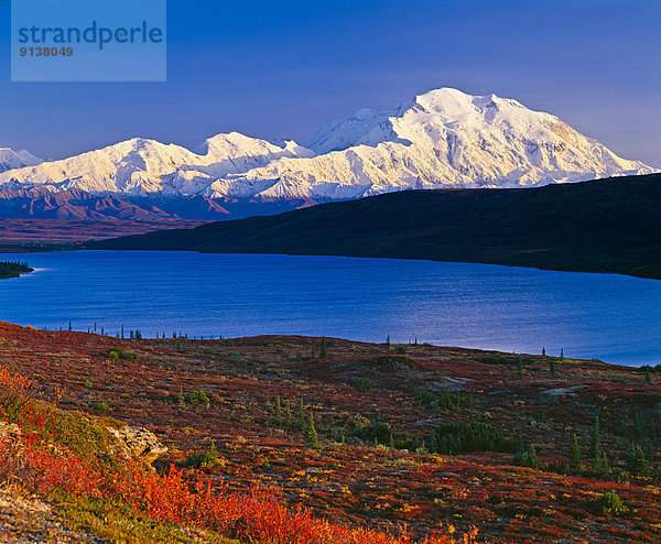 Vereinigte Staaten von Amerika  USA  Farbaufnahme  Farbe  durchsichtig  transparent  transparente  transparentes  Berg  Tag  Himmel  Wunder  See  frontal  Herbst  blauer Himmel  wolkenloser Himmel  wolkenlos  blau  rot  Denali Nationalpark  Mount McKinley  Alaska
