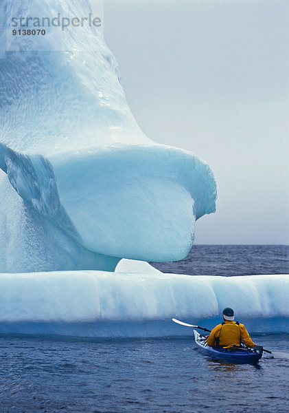 nahe Eisberg Ozean Gasse Kajak vorwärts Atlantischer Ozean Atlantik groß großes großer große großen Bucht Kanada Hase