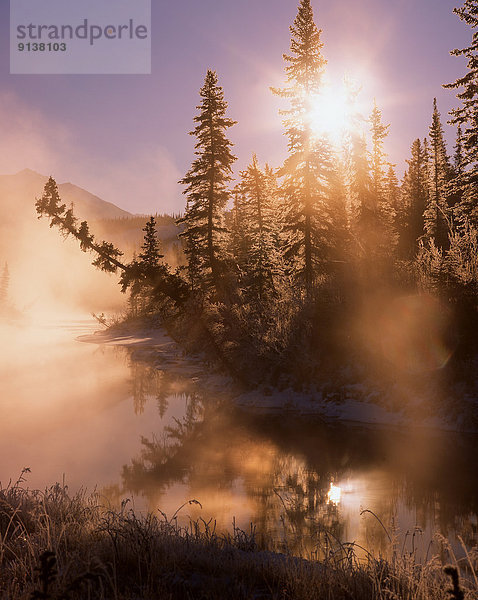 Gegenlicht  Landschaftlich schön  landschaftlich reizvoll  Morgen  Natur  fangen  Kälte  1  Jasper Nationalpark  Alberta  Kanada
