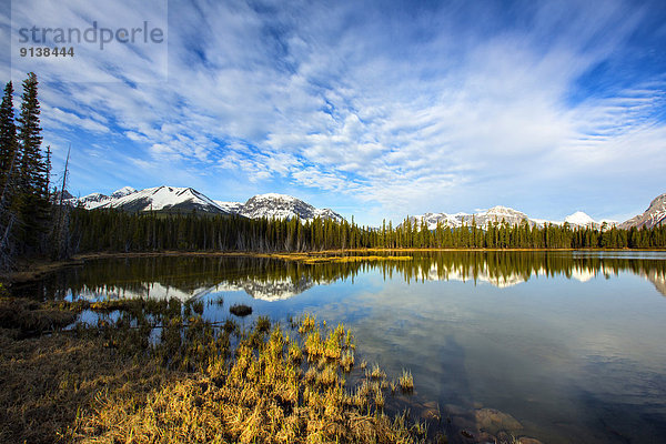 Peter Lougheed Provincial Park  Alberta