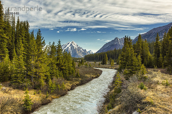 Peter Lougheed Provincial Park  Alberta  Kanada